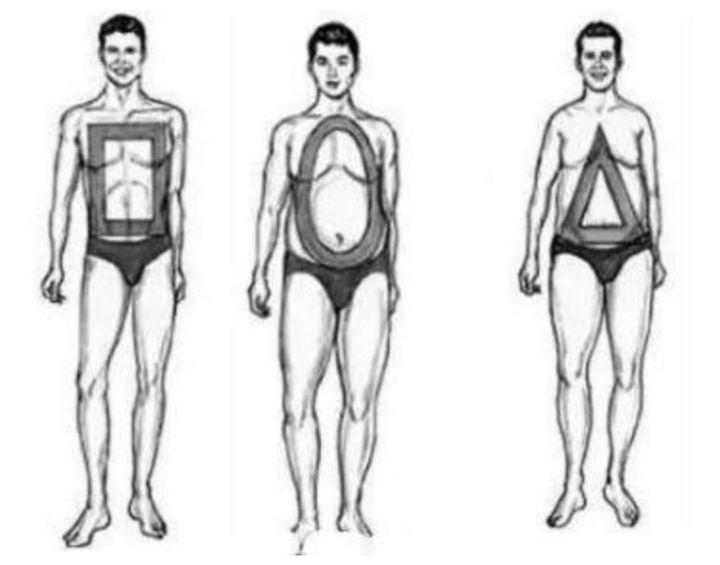 wildfieldhealth牌子如何,wildfieldhealthcare