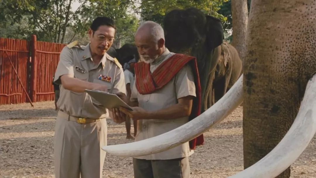 托尼贾对金星的评价,托尼贾金星的电影叫什么