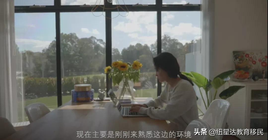 放下国内不错的生活挺好的工作，一路乘风破浪到堪培拉安家