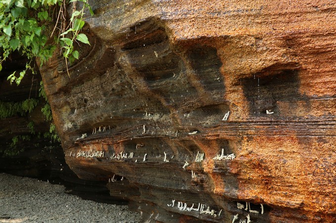 如约而至的涠洲岛,涠洲岛一生所爱