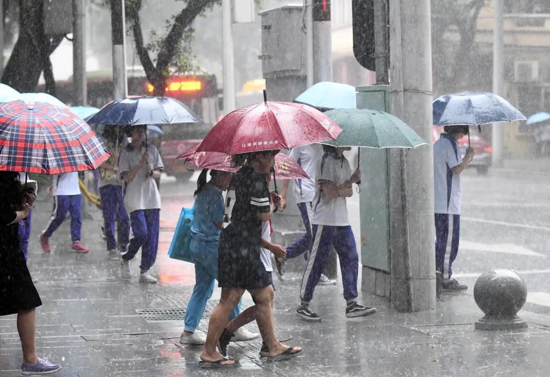 最小最方便携带的防晒伞,出门必备晴雨两用伞自动