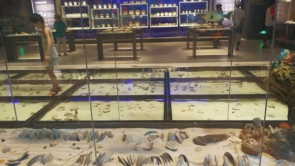 领略海口美丽风光，尝尽海口的各种美食