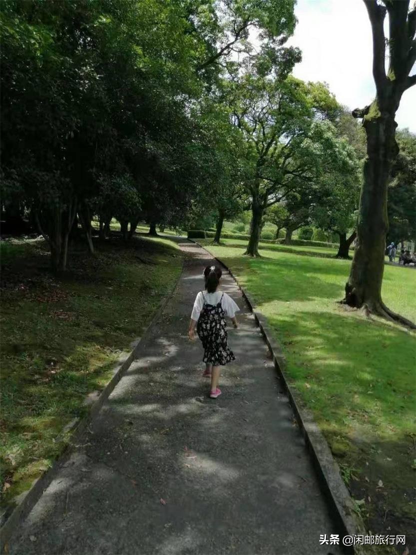 星梦邮轮世界梦号自由行热门攻略 (星梦邮轮一日游)