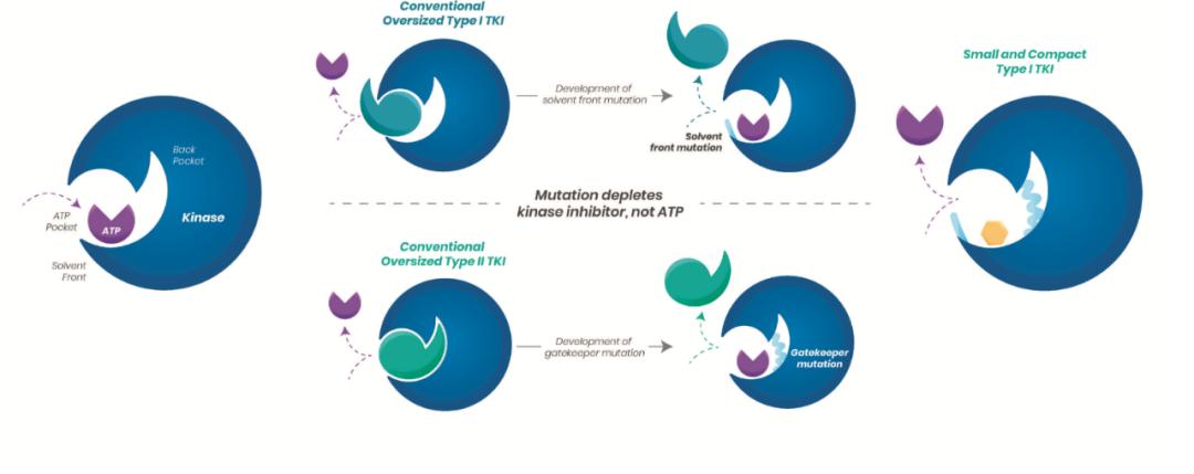 靶向抗癌新药上市最新消息,最新上市靶向的抗癌药物