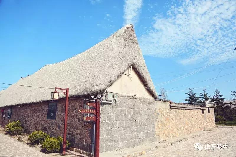 东楮岛海草房全景,东楮岛渔村海草房介绍