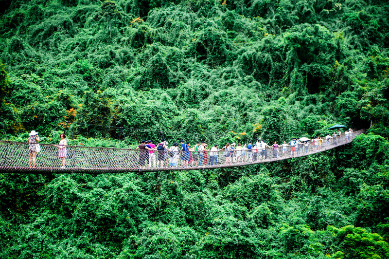 三亚万橡雨林生态园,三亚亚龙湾热带森林公园雨林飞跃