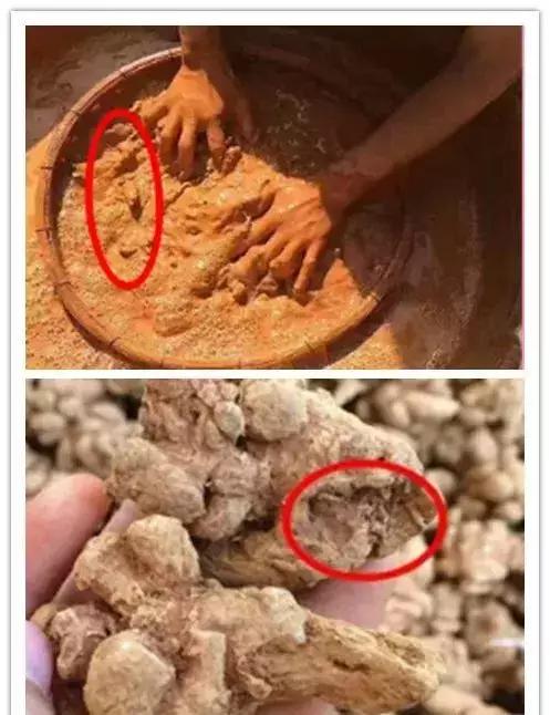 鉴别三七,最全三七鉴别法点进来终身受用