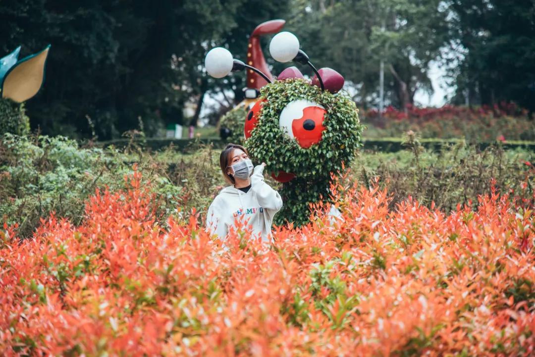 欢乐谷年卡特价,欢乐谷门票升级年卡