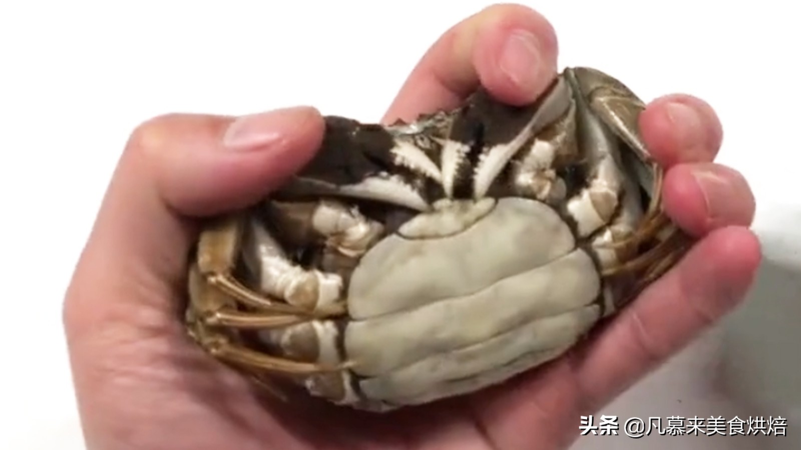 正确的螃蟹绑法,绑螃蟹技巧教学