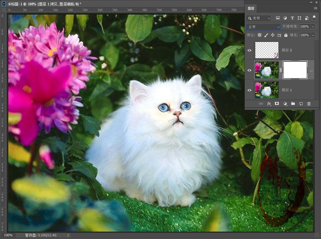 ps抠图毛发详细教程,ps毛发抠图教程详细步骤