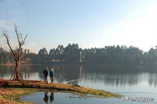 钓鱼一定要选好位置,钓鱼要选草多的地方吗