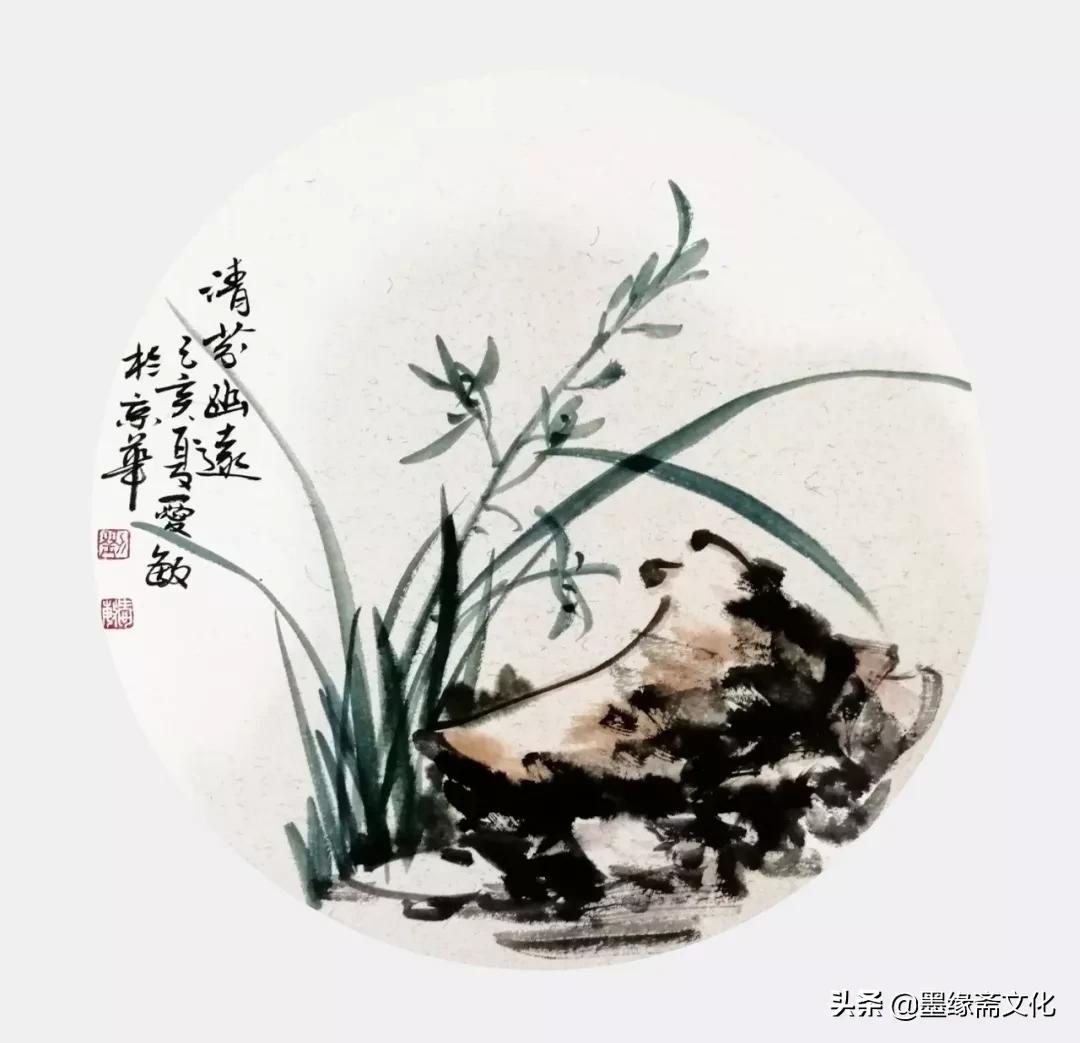 刘忠陵兰花作品欣赏,写实画兰草作品欣赏