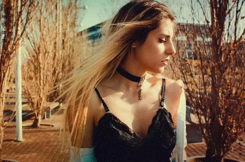 相机测光和对焦如何分开,对焦点和测光是不是都是半按快门