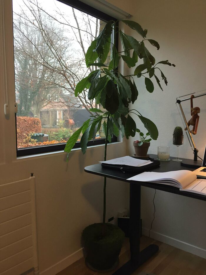 外国网友分享的风景,国外网友分享的风景