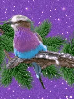 这是我见过最美的风景吗,这是我见过的最美的风景英语