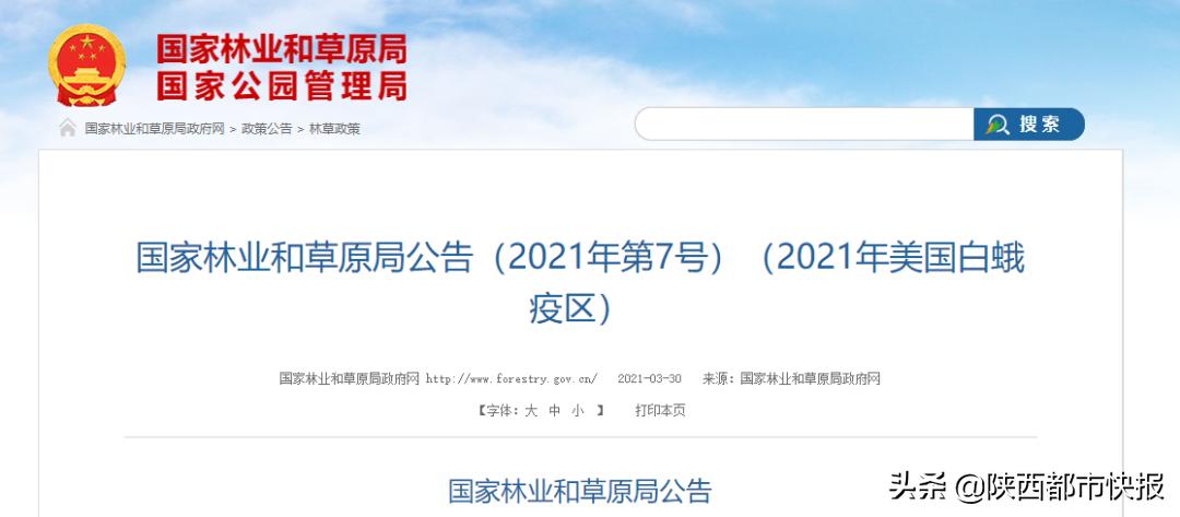 警惕！陕西多地被列入“美国白蛾疫区”！这类违法举报，最高奖励1万元