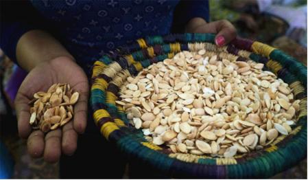 摩洛哥阿甘油的正确使用方法,摩洛哥阿甘油有那么神奇吗