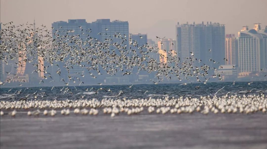 没有存在感的省份河北,河北最没有存在感的城市