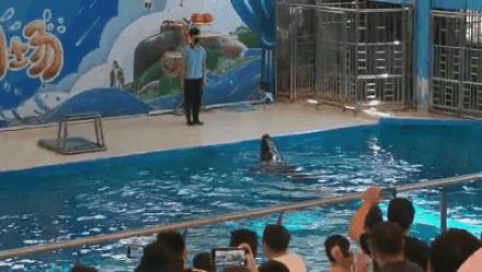 厦门周边适合亲子游的最佳地方,适合1-4岁亲子游的地方厦门