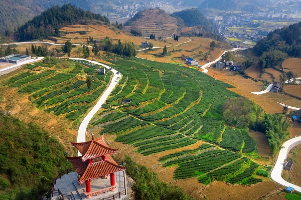 秀山区电商扶贫,秀山县乡村振兴办法