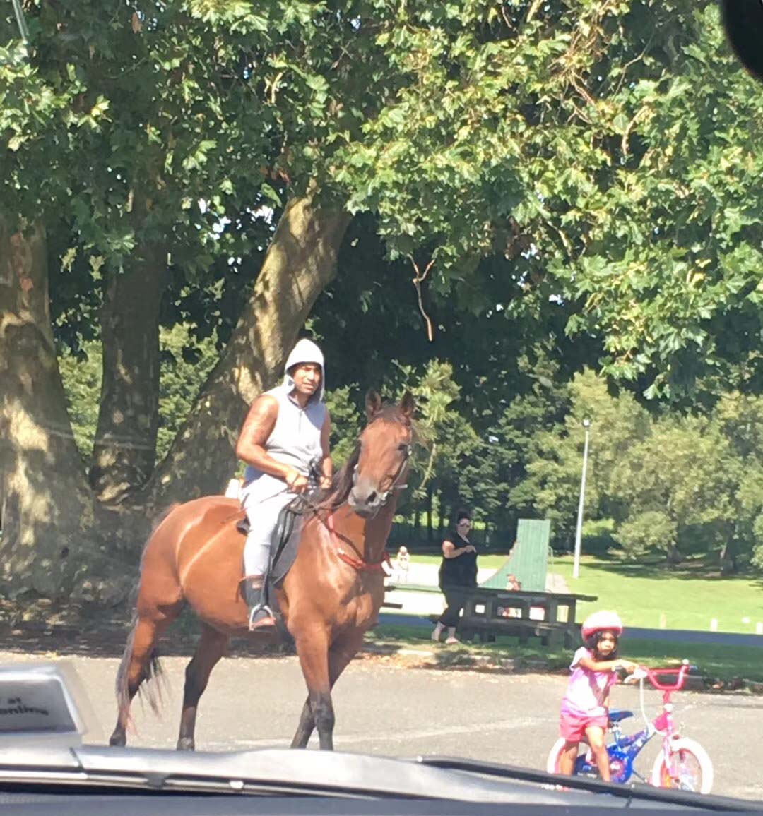 新西兰旅游必备大牌礼物,新西兰旅行攻略完整详细版