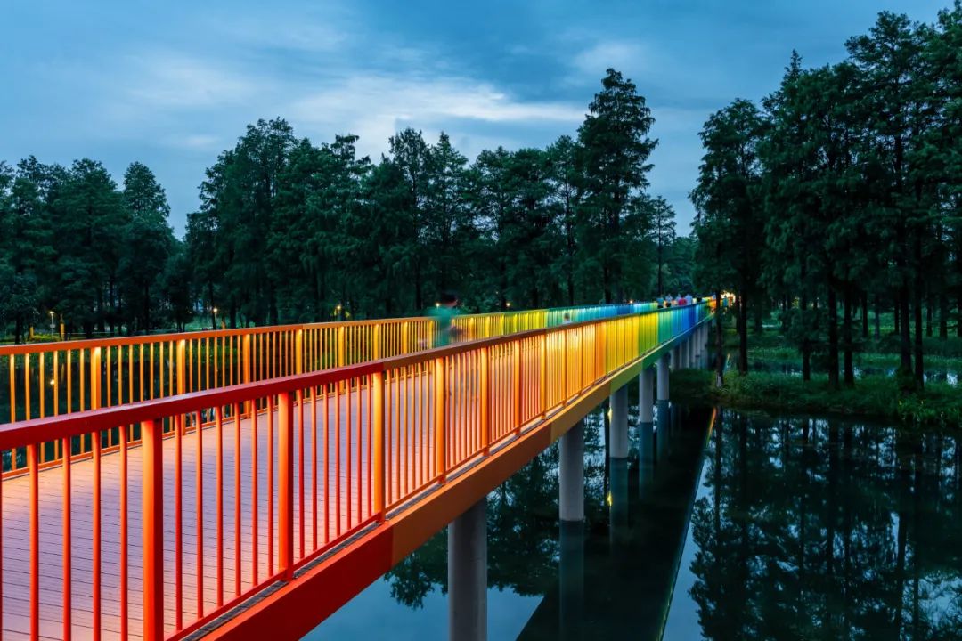 武汉华侨城湿地公园绿化,华侨城生态湿地公园武汉什么区