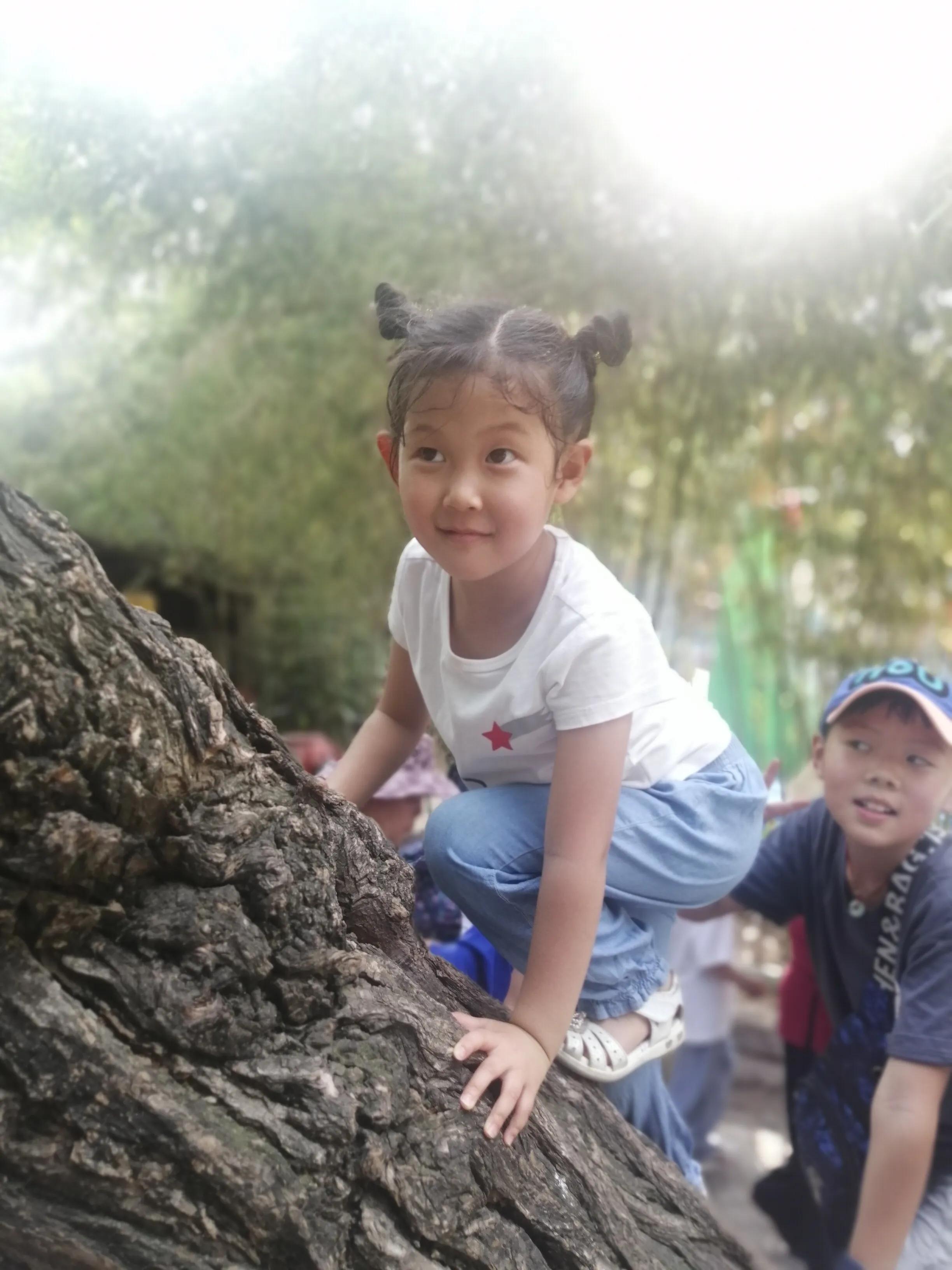 手机摄影手册圈友作品选第7期,手机摄影手册圈友作品选第6期