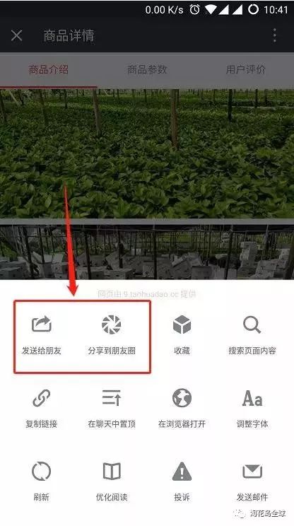 淘花岛商城不仅仅能低价买花，更能赚钱，快来了解一下吧！