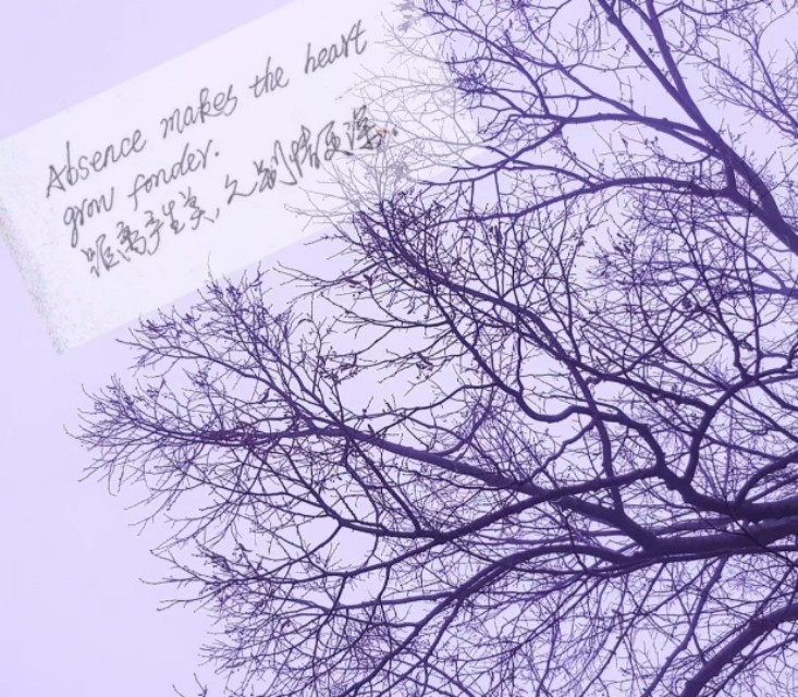 心经佛经寺庙,心经寺院僧众版