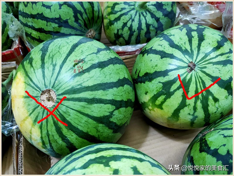 怎么挑西瓜才能不挑到生瓜,美都西瓜生瓜熟瓜怎么辨认
