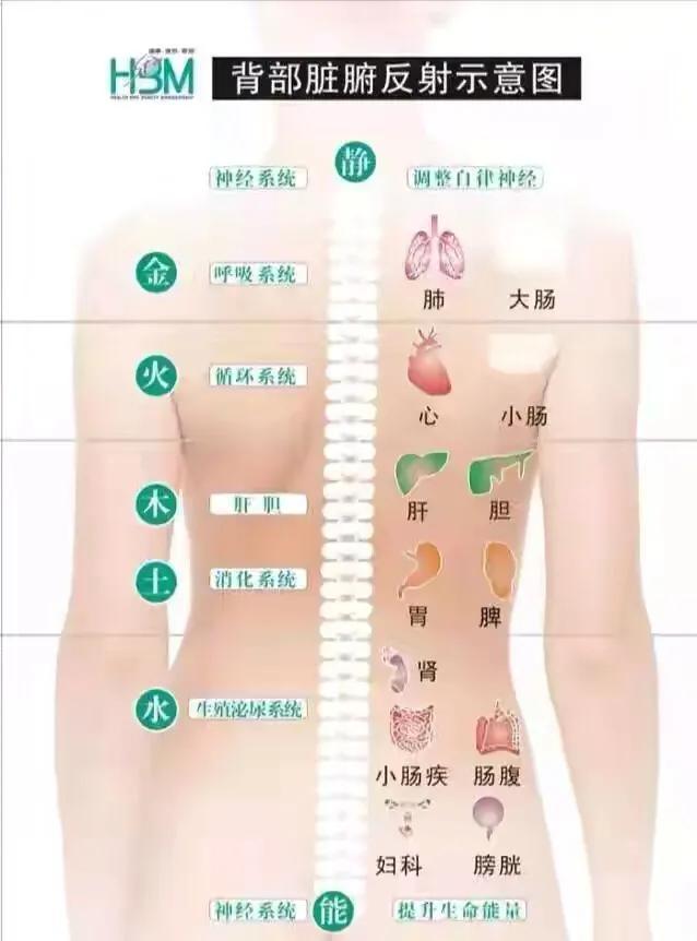 保养背部可预防哪种疾病,脸部保养和背部保养哪个更重要