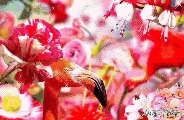 短短几字句句戳心,写得好的经典的句子