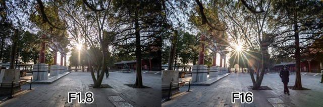 尼康z50mmf1.8,尼康定焦50mmf1.8g镜头拍照效果