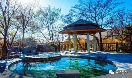 半价温泉票,暖冬特惠温泉票