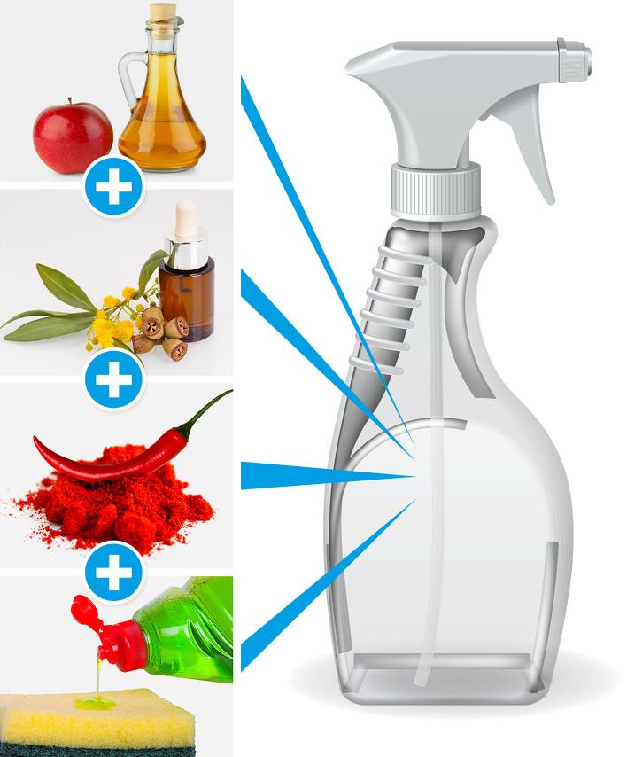 把蜘蛛赶走,把蜘蛛赶走的办法