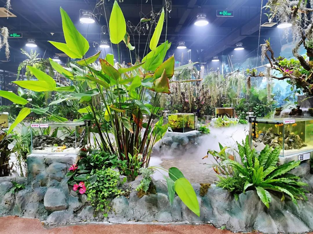 济南免费周末遛娃玩水好去处,济南亲子公园游玩地点推荐