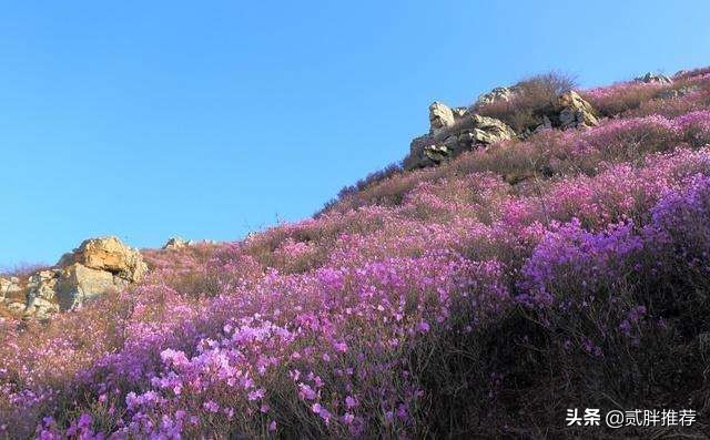 辽南高山景区,辽西九华山4A景区