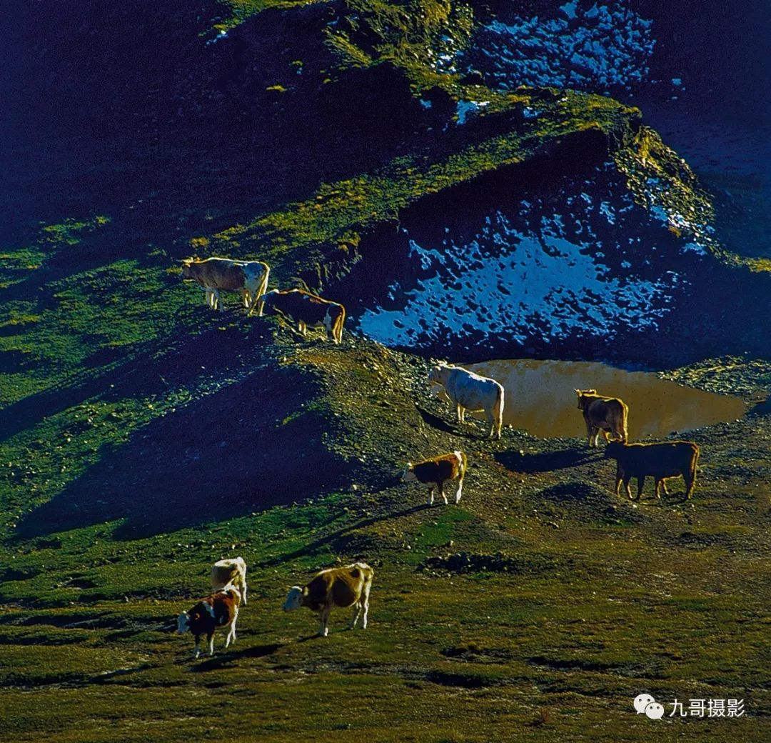 坝上草原天路美景,大美坝上风光系列之一