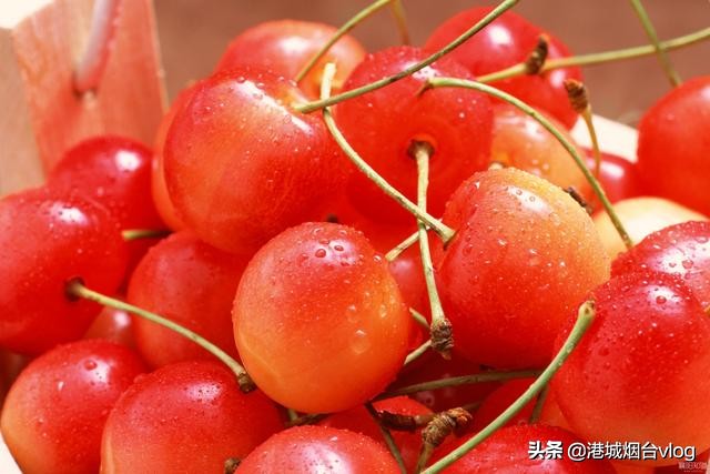 2022年烟台樱桃什么时间成熟,2020年烟台大棚樱桃采摘