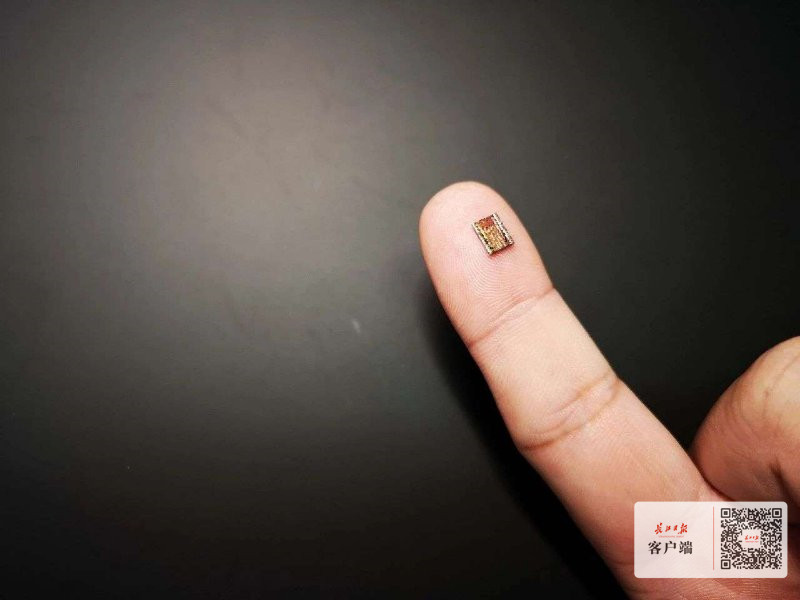 武汉总部奖励,武汉市奖励性补贴