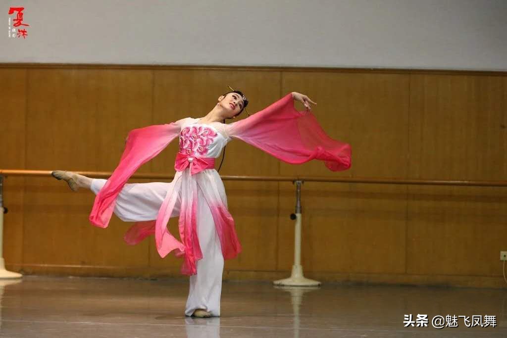 中国人民解放军艺术学院舞蹈,军艺舞蹈系图片