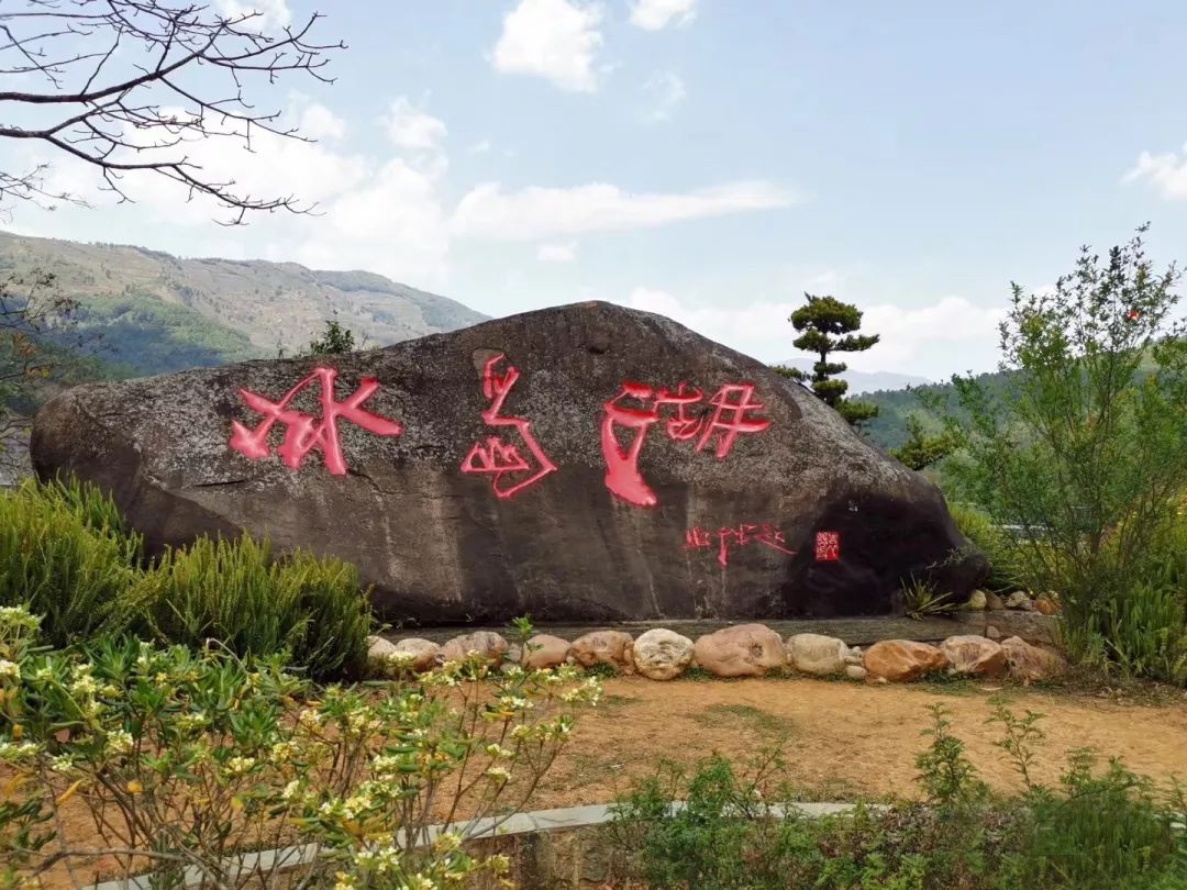 冰岛五寨古树茶属于什么茶,冰岛五寨普洱茶熟茶1000g