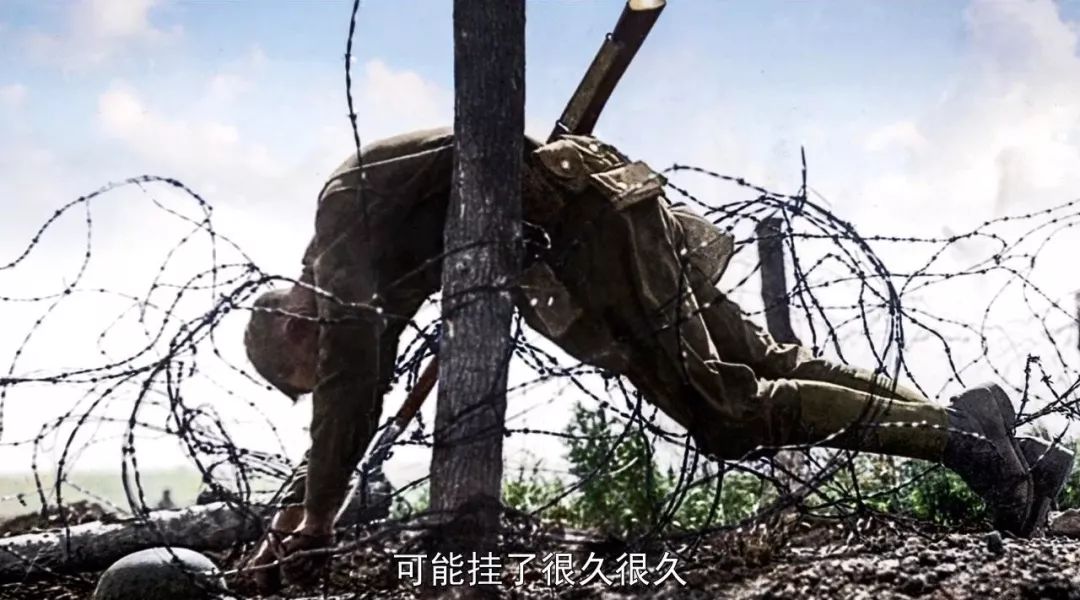 最近上映的电影豆瓣,最近上映的院线电影豆瓣评分