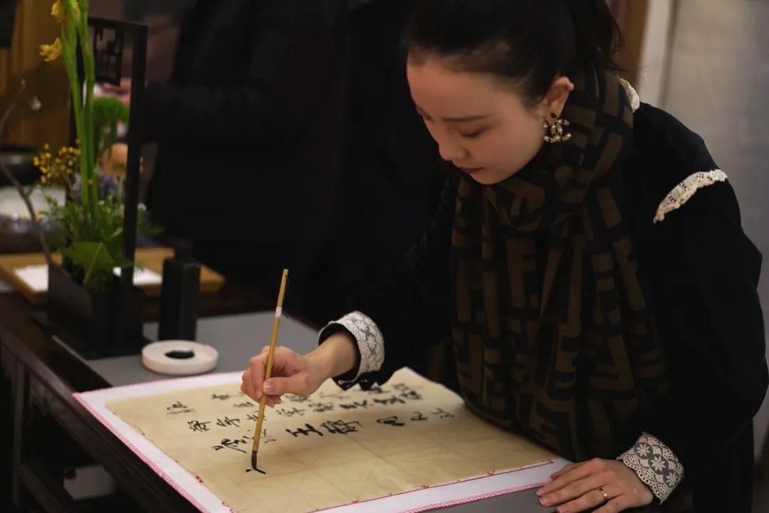 黑茶品鉴会,中茶陈年黑茶