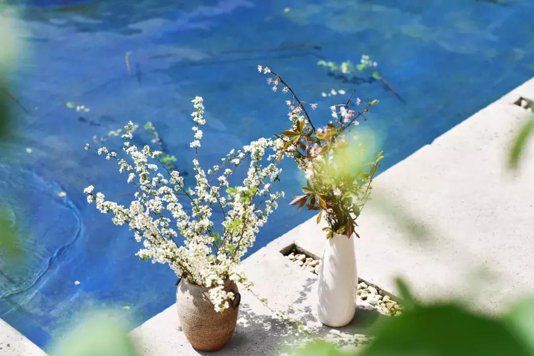 C位出道的千岛湖绝版亲水民宿！要把千岛湖最美的景装进房间……