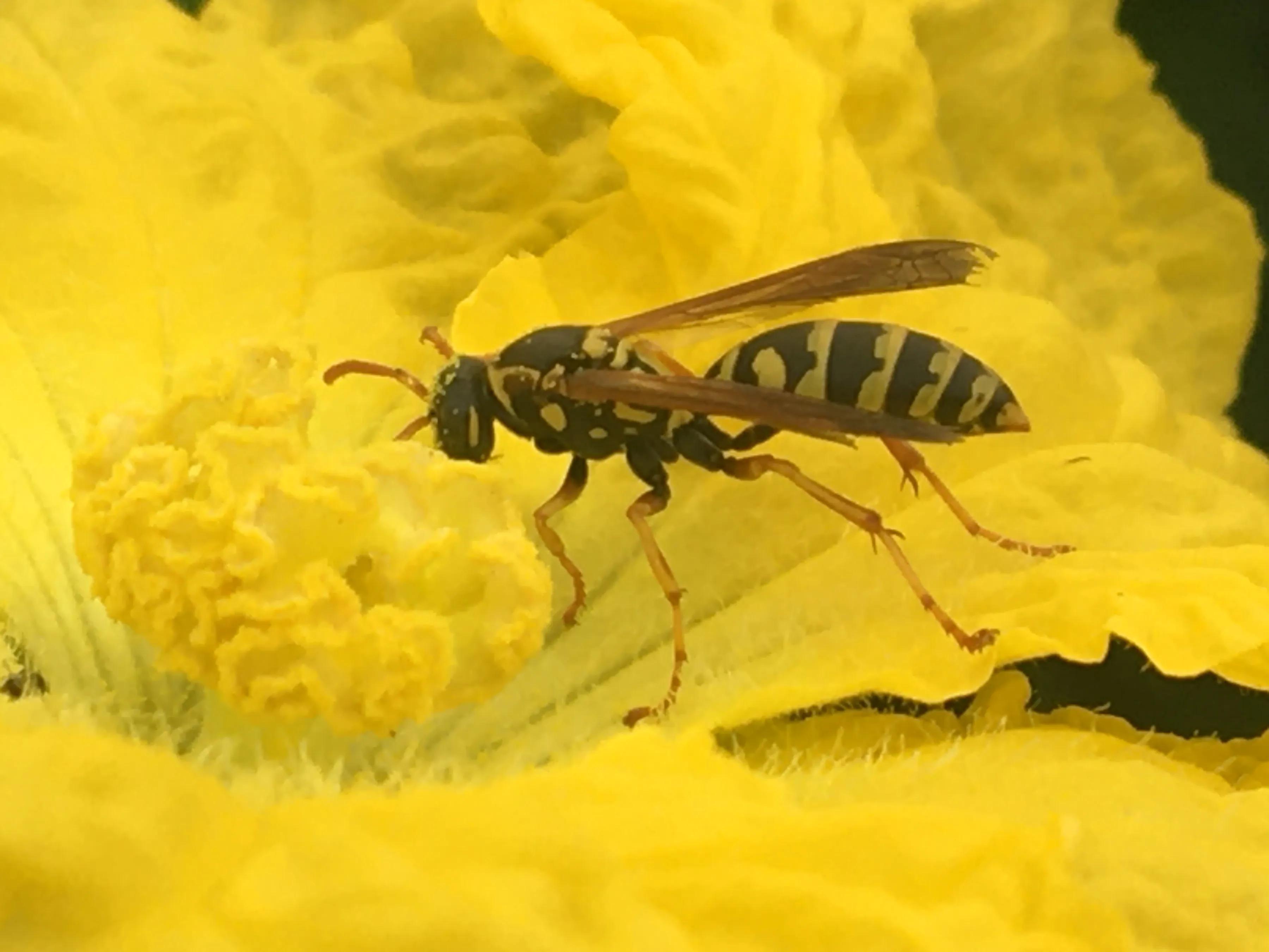 手拍世界作品集402期,2022年世界手机摄影大赛征稿