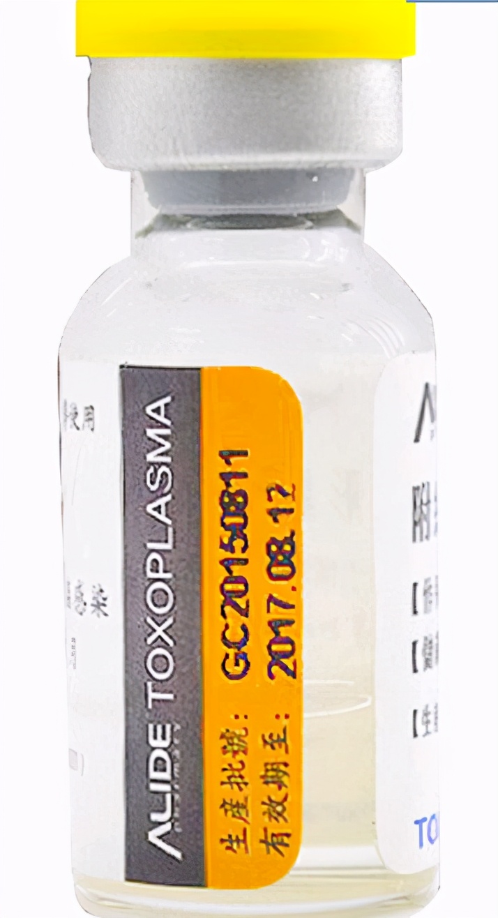 如何给猫打针教程,怎么给猫打针最简单