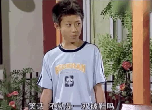 家有儿女刘星家到底是多有钱,家有儿女刘星家究竟多有钱