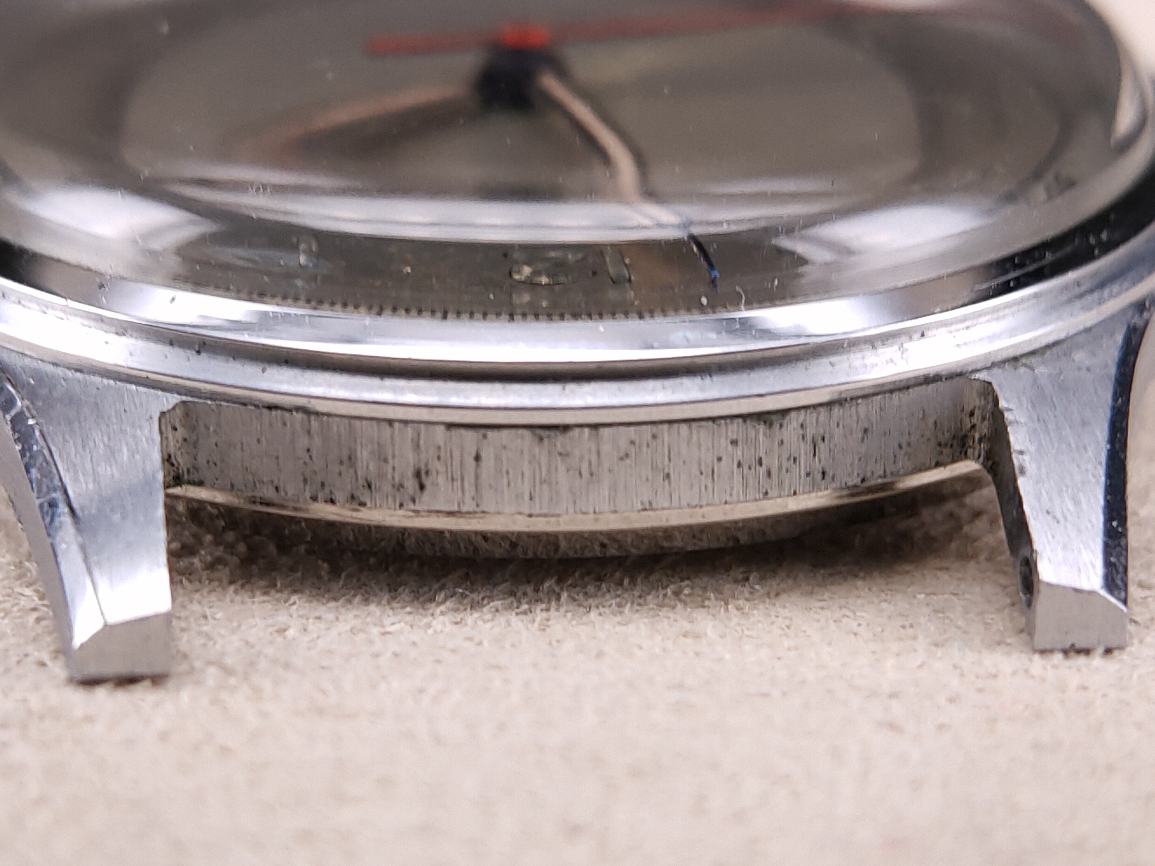 因为一条鱼爱上一个人,因一条鱼丢了一条命