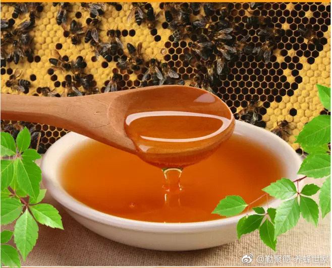 蜂蜜加什么洗脸又白又嫩效果好呢,蜂蜜洗脸美白的正确方法